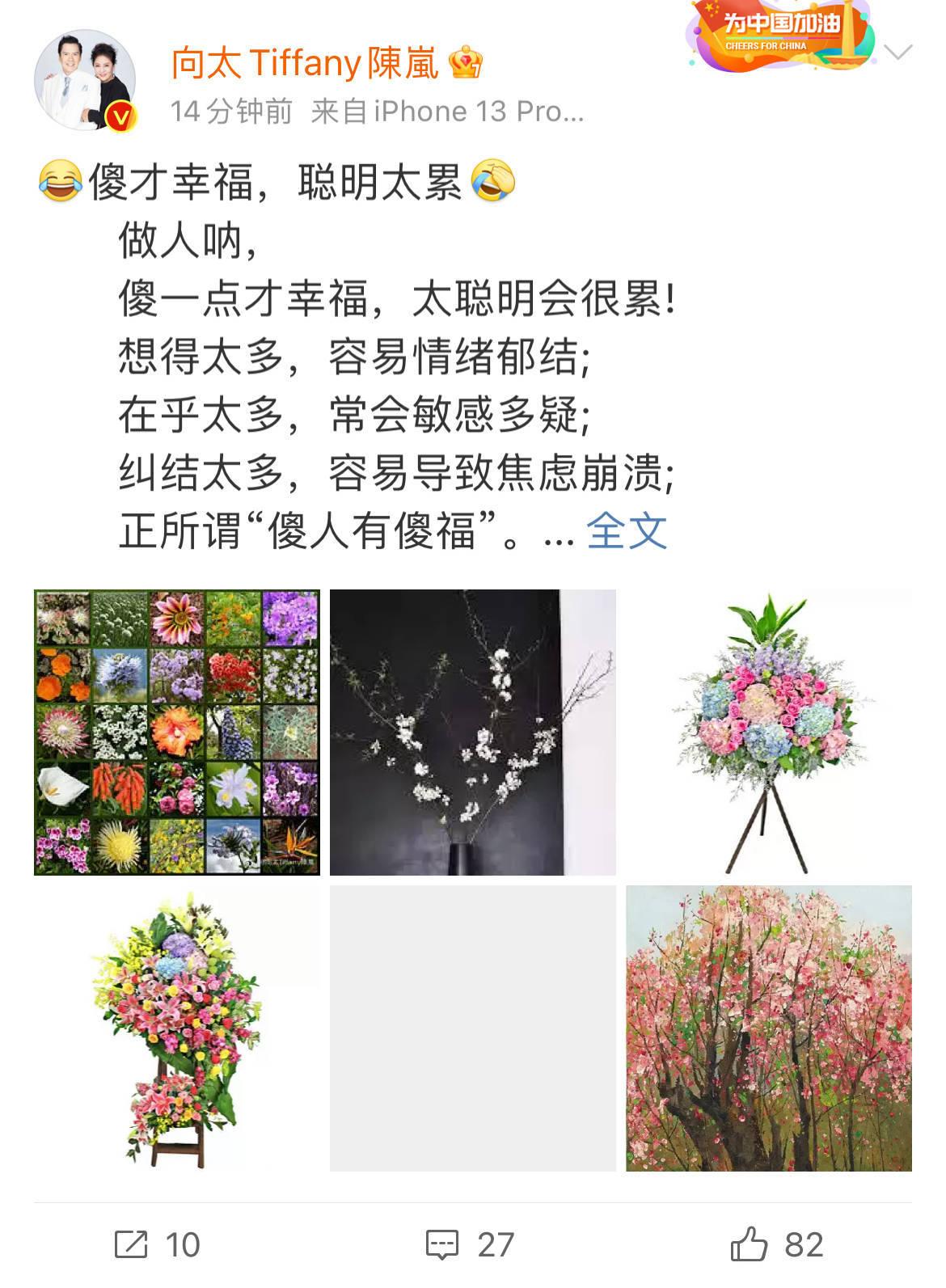 向佐是否傻？深度探讨这一问题