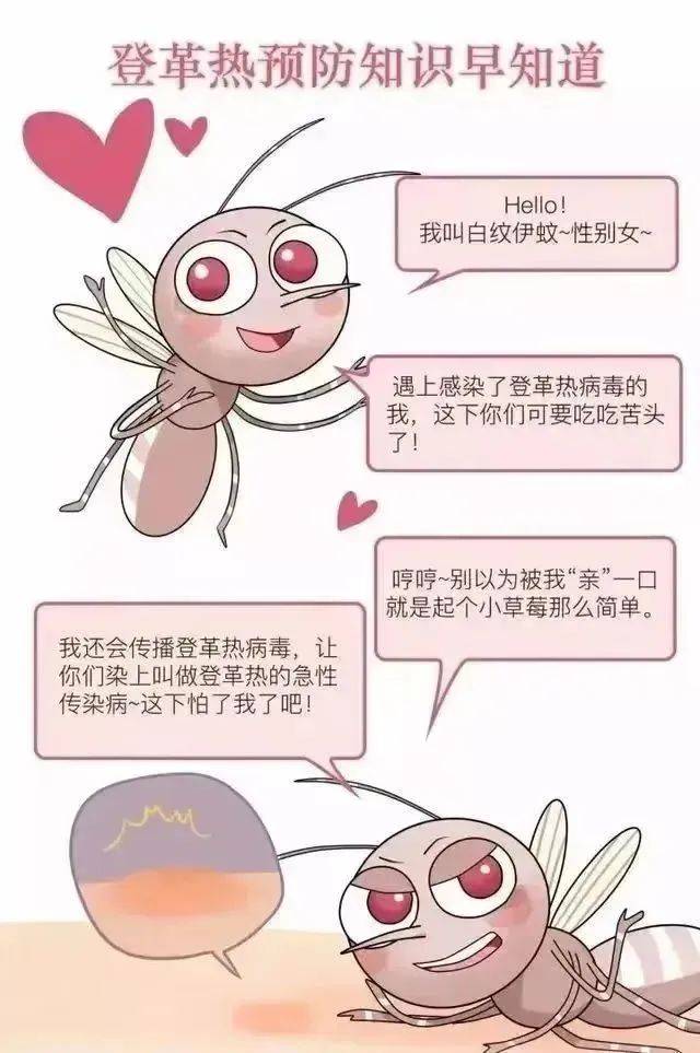 登革热症状及传染性解析，人与人之间的传播可能性探讨