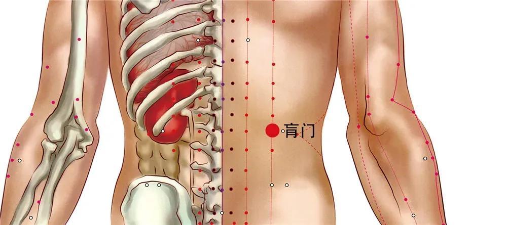 中医消化系统调理良方，常见方法解析