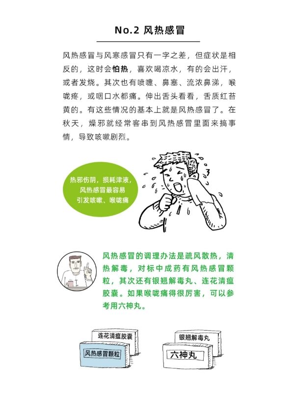 中医预防感冒与流感的方法与策略