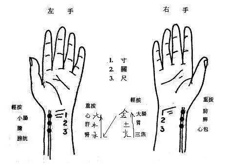 中医养生中的脉诊与健康预警