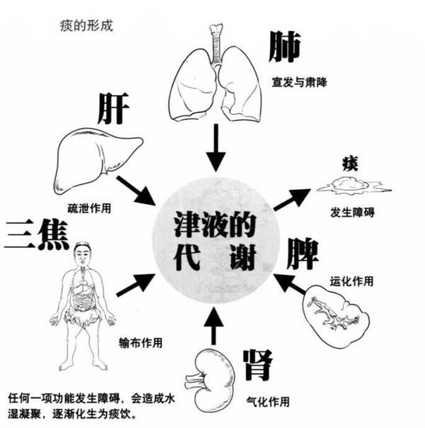 中医改善血液循环的方法与效果解析