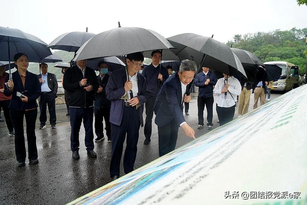 科技助力绿色经济与环保平衡发展