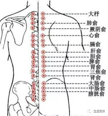 新闻中心 第23页