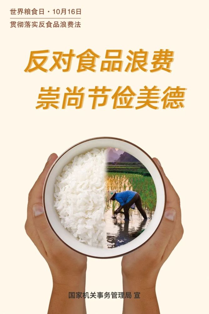 如何降低食品储存浪费的策略