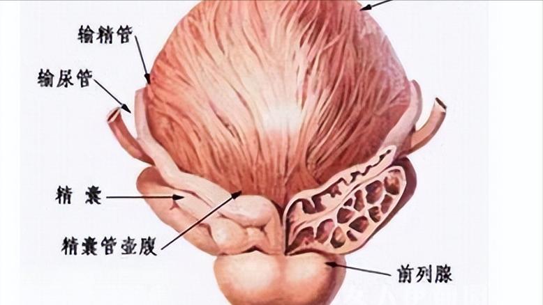 健康管理，从体检报告出发的科学分析与实践